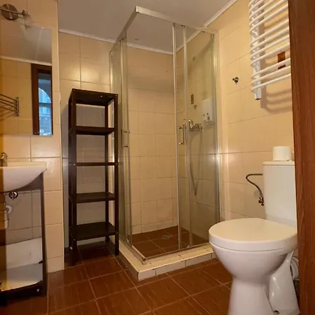 Apartment In Center *