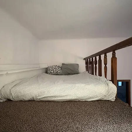Apartment In Center *